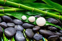 Bamboo and stones