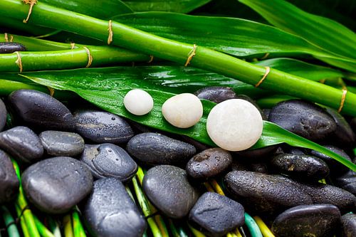 Bambus und Steine