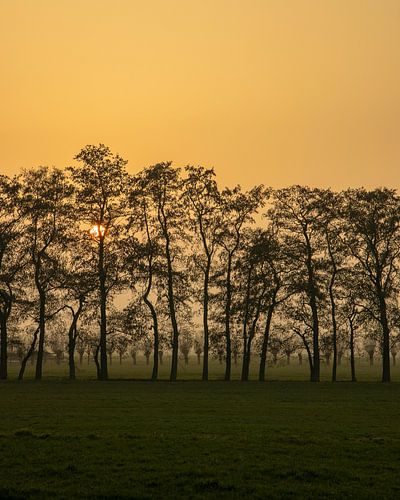 Coucher de soleil rouge