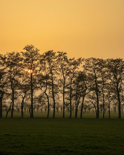 Roter Sonnenuntergang von Jaap Tempelman