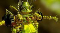 Vriendelijke robot van Rein Bijlsma thumbnail