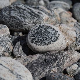 stone by Astrid Kleijn