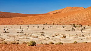 Le Deadvlei en Namibie