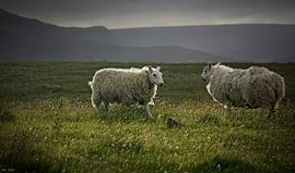 impressions of scotland - was waiting 4 u by Meleah Fotografie