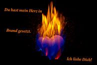 Vous avez mon coeur sur le feu. Je t'aime! par Norbert Sülzner Aperçu