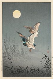 Tokyo Views; Ducks, Tsuchiya Kōitsu