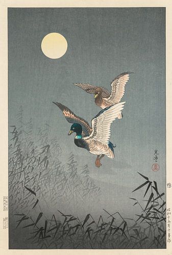 Uitzicht op Tokio; Eenden, Tsuchiya Kōitsu