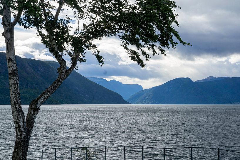 Sognefjord by Henk Alblas