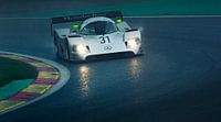 Sauber-Mercedes C11 - Michael Schumacher