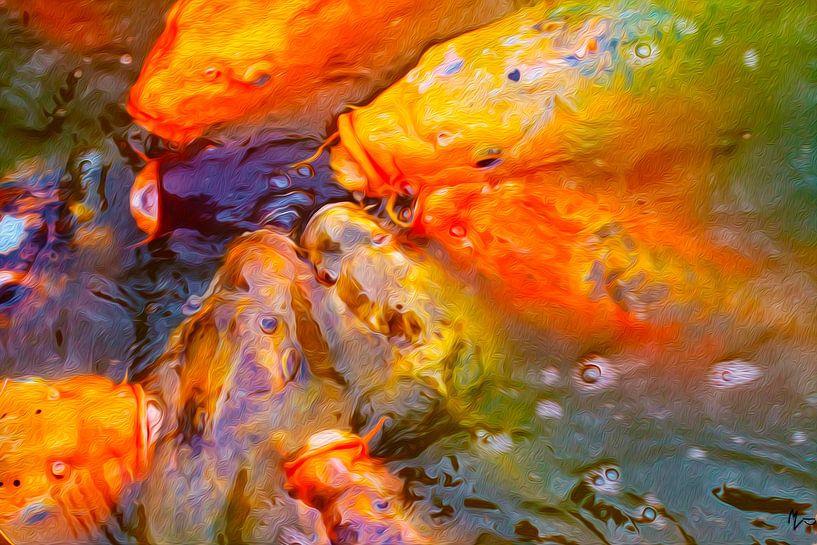 The Happy Koi Carpsers by Lens Design Studio