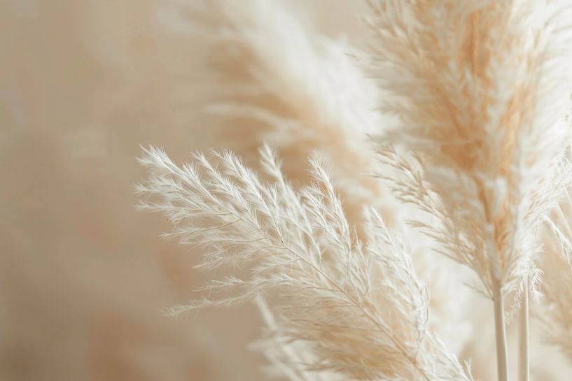 Pampas grass by Poster Art Shop