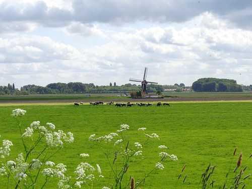 Molen van afstand