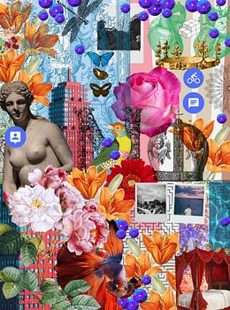 Collage Nr. 7