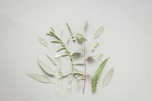 Botanisch schilderij, botanical painting