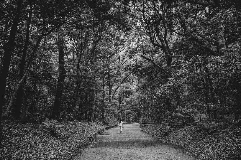 Der herrliche Garten um den Meji-Schrein-Tempel in Tokio von Jonas Röjestål