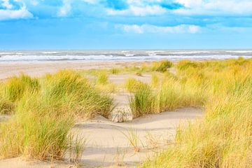 Dunes de sable à la plage de la mer du Nord à l'île de Texel sur Sjoerd van der Wal Photographie