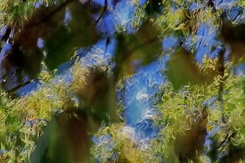 Moving Camera Images