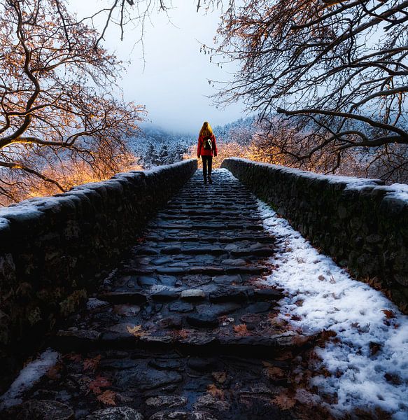 Follow me by Konstantinos Lagos