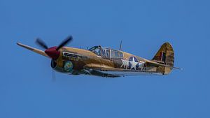 Kampfflugzeug Curtiss P-40 Warhawk.