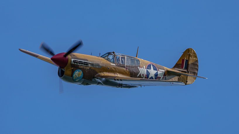 Oiseau de guerre Curtiss P-40 Warhawk. par Jaap van den Berg