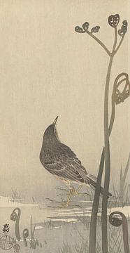 Ohara Koson - Grincement de l'eau (édité) sur Peter Balan