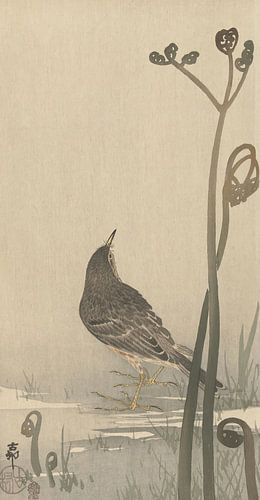 Ohara Koson - Wasserquietscher (bearbeitet)