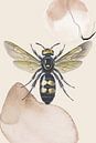Schmetterling Natur Biene - Gemälde von William Bos Miniaturansicht