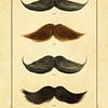 Catalogue de Moustaches van Martin Bergsma