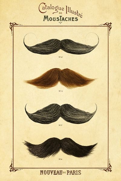 Catalogue de Moustaches par Martin Bergsma