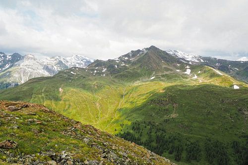 Lentebloemenpracht in de bergen van Vinschgau – alpenklokjes, wollegras en alpenweiden tegen een indrukwekkende achtergrond van bergtoppen.
