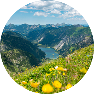 Uitzicht over de Vilsalpsee naar de Tannheimse Alpen van Leo Schindzielorz