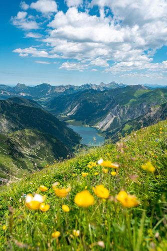 Uitzicht over de Vilsalpsee naar de Tannheimse Alpen