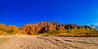 Panorama op de Bungle Bungles Australië