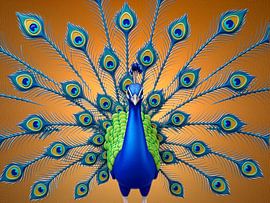 Stilisierter Pfau von Hans Levendig (lev&dig fotografie)