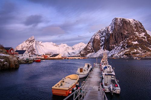 Winterse zonsopkomst op de Lofoten