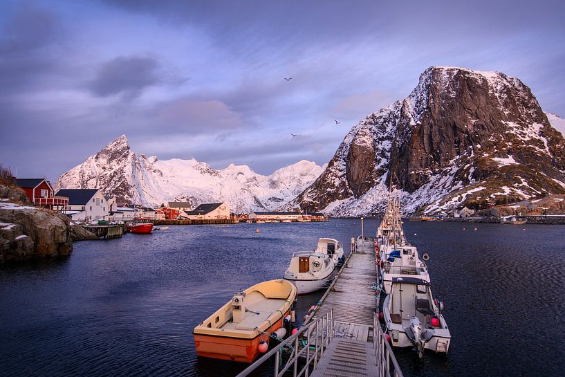 Winterse zonsopkomst op de Lofoten van Samantha van Leeuwen