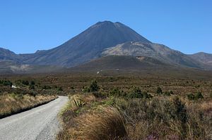 Mount Ngauruhoe (mount doom) Tongariro National Park van Jeroen van Deel