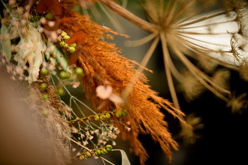 Herfst sfeer
