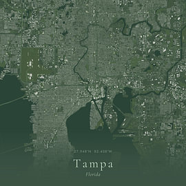 Vintage map of Tampa, United States by Prints of Place