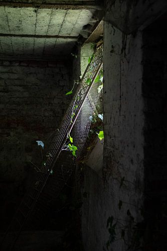 verlassenes Haus