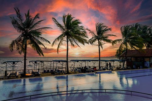 Sigiriya (Leeuwenrots) – de iconische rotsvesting met fresco’s en een adembenemend uitzicht.