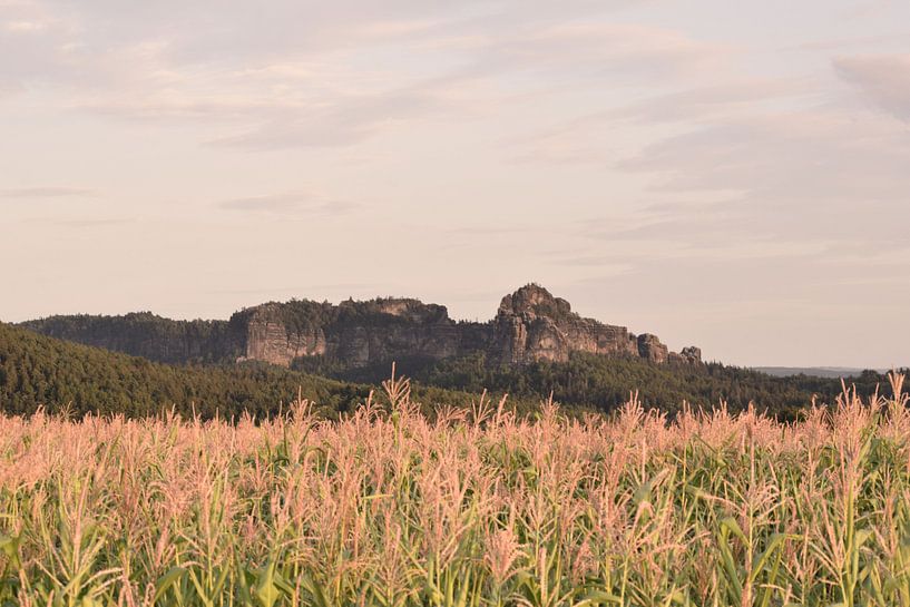 Rotsgebergte in Tsjechië von Manon Sloetjes