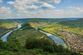 Moselschleife bei Bremm