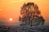 Zonsopkomst