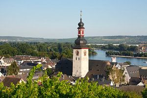 Blick auf die Altstadt mit Katholischer Parrkirche St. Jakobus, R�desheim am Rhein, Rheingau, Hessen