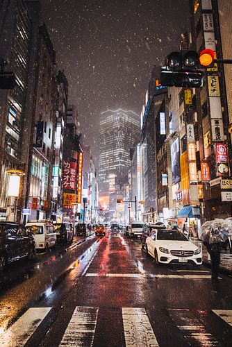 De Neonverlichte Nachten van Tokyo: Een Lichtspektakel