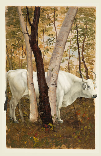 the Bull in the Woods by Marja van den Hurk