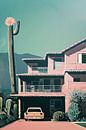 Villa with giant cactus, vintage by Anna Marie de Klerk thumbnail