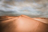 Zandduinen in de Namib woestijn in Namibie van Jille Zuidema thumbnail
