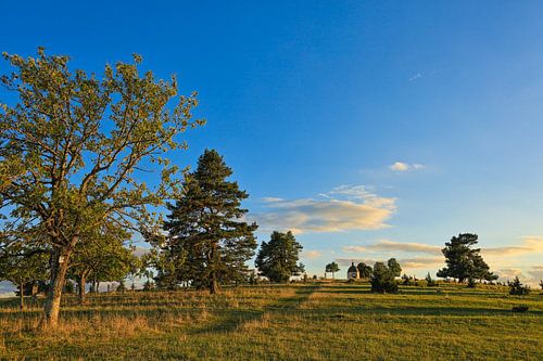 Landschapsbeschermingsgebied "Alter Berg" bij Böttingen in het avondlicht - Natuurpark Opper-Donau